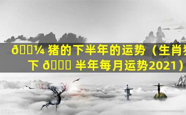 🌼 猪的下半年的运势（生肖猪下 🐋 半年每月运势2021）